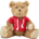 Plush teddy bear with hoodie