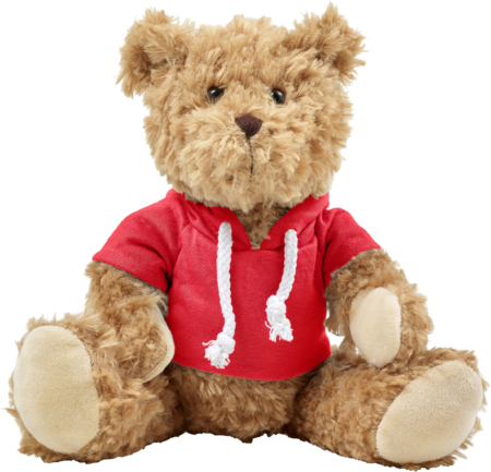 Plush teddy bear with hoodie