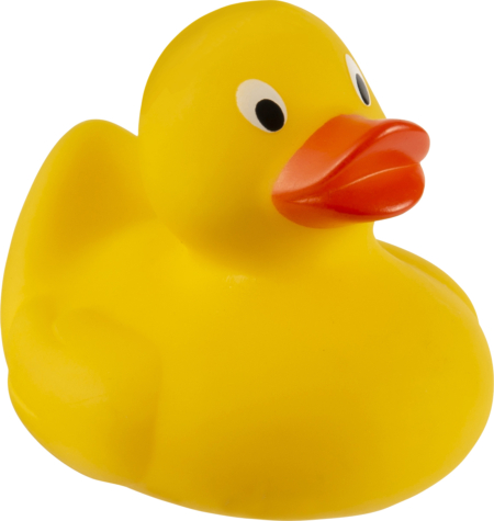 Rubber duck