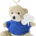 Teddy bear key ring